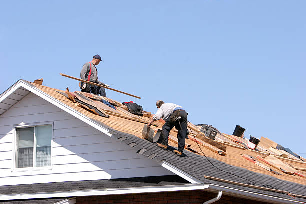 Fast & Reliable Emergency Roof Repairs in Calhoun City, MS